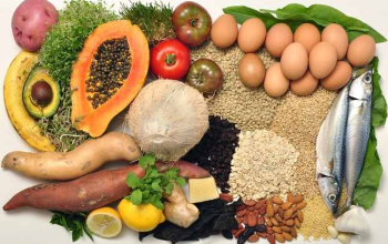 Makanan Sehat dan Bergizi: Kunci Gaya Hidup yang Lebih Baik